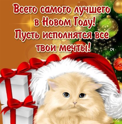 Улыбок, любви и тепла