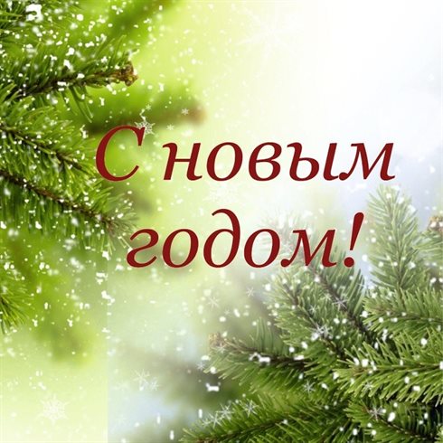 Немного тепла и заботы