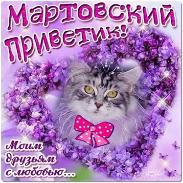 Улыбок, любви и тепла