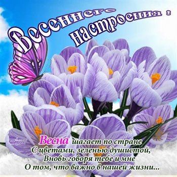 Пусть в жизни будет больше праздников