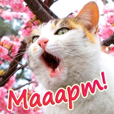 Пусть в жизни будет больше праздников