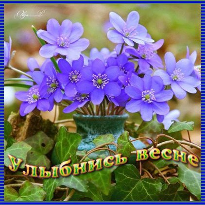 Радостная открытка