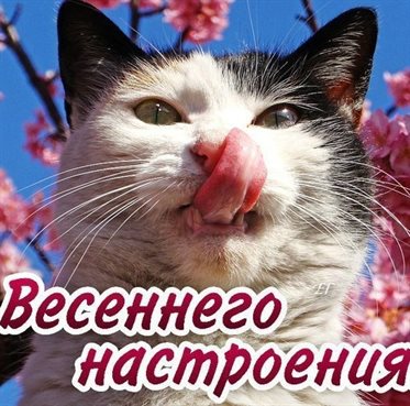 Тепло и улыбки