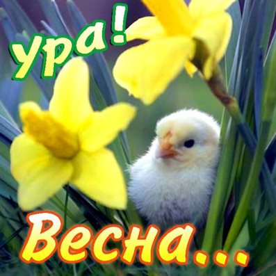 Теплые поздравления