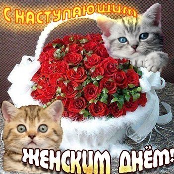 Пусть радость будет с вами