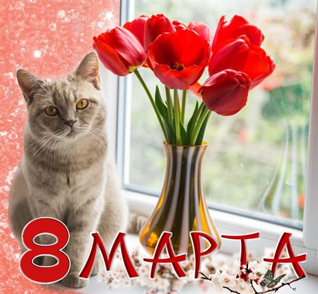 Пусть мечты сбываются