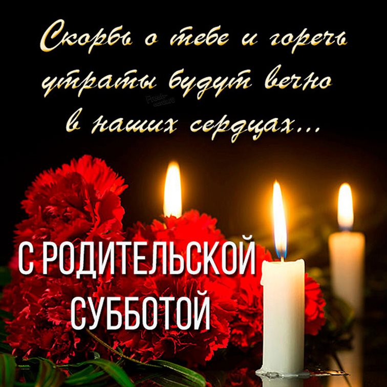 Немного тепла и заботы