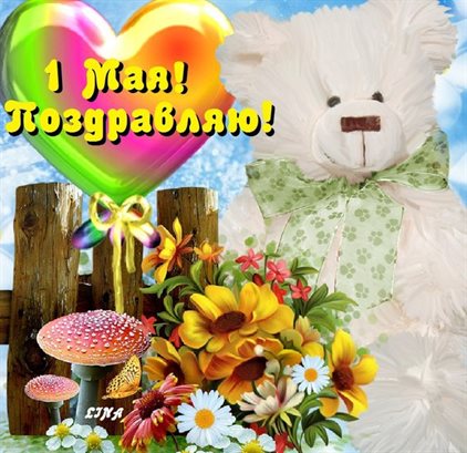 Нежность и внимание