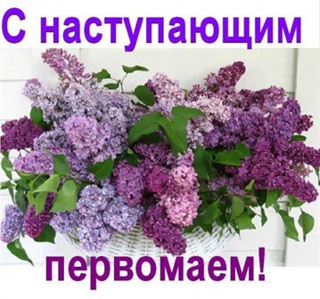 Нежность и внимание