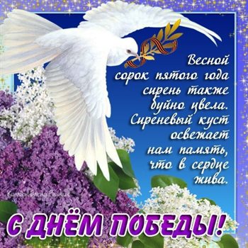 Тепло и улыбки