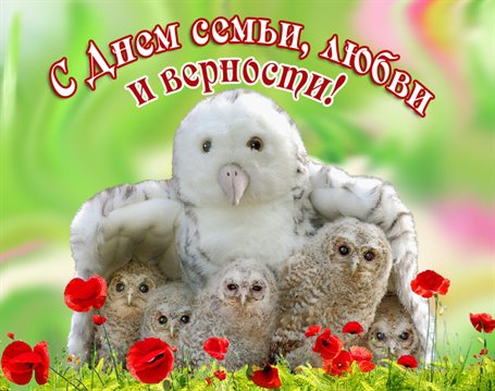 Лучшие пожелания