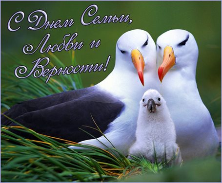 Чудесные поздравления для Открытки с Днем семьи любви верности