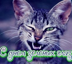Теплые слова для Открытки с Днем зеленых глаз