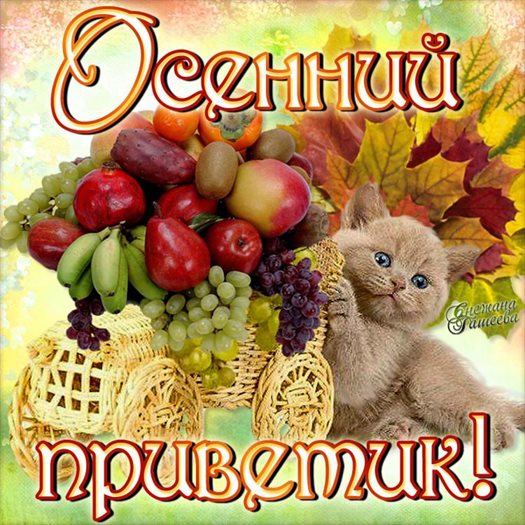 Осенние красивые открытки — прекрасный выбор!