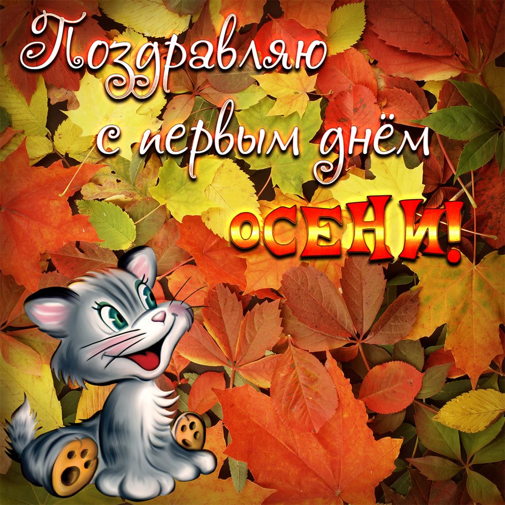 Радостная открытка