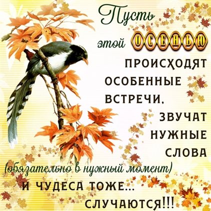 Счастья и удачи