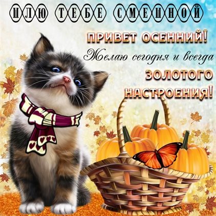 Теплые слова для Осенние красивые открытки
