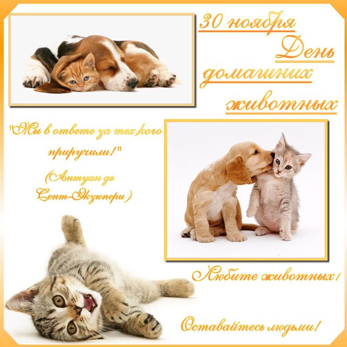 Нежные поздравления для Открытки с Днем домашних животных