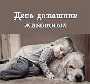 Нежность и внимание