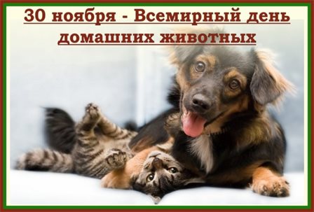 Пусть радость будет с вами