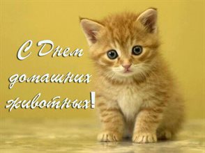 Яркая открытка для вас