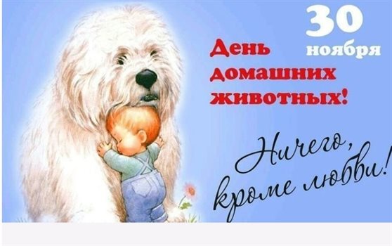 С наилучшими пожеланиями