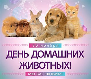 Теплые поздравления