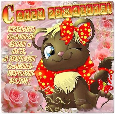 Немного тепла и заботы