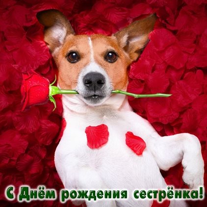 Пусть будет весело и светло