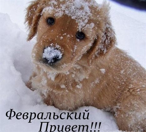 Тепло и улыбки