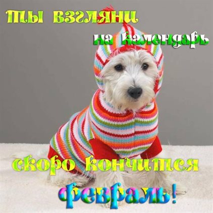 Открытки с Началом февраля — прекрасный выбор!