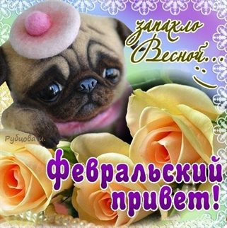 Лучшие пожелания