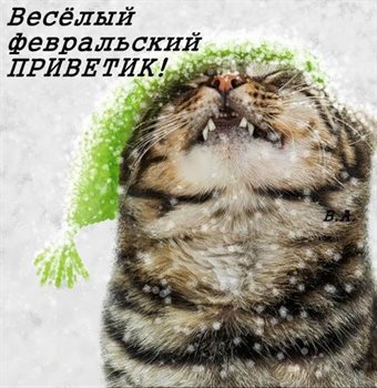 Луч света в ваш день