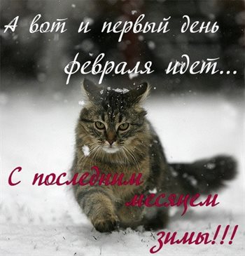 Нежные поздравления для Открытки с Началом февраля