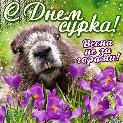 Пусть мечты сбываются