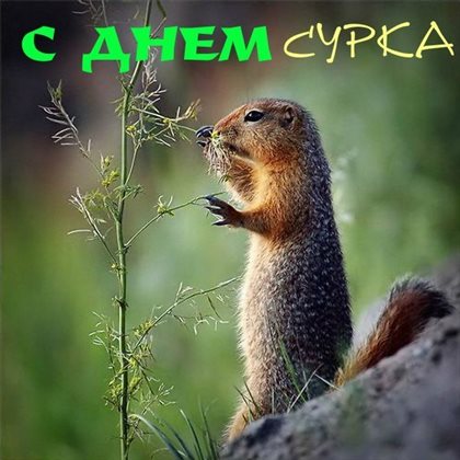 От всей души и сердца