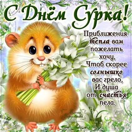 Приятные поздравления