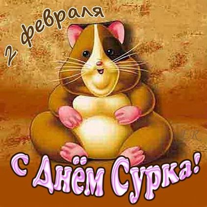 Подарите улыбку: Открытки с Днем сурка