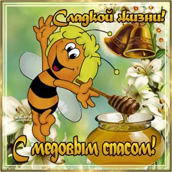 Немного тепла и заботы