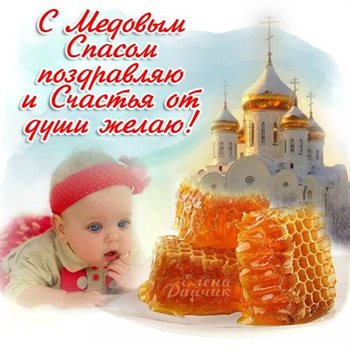 Немного тепла и заботы