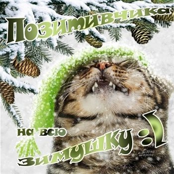 От души: Красивые открытки и картинки с Первым днем зимы