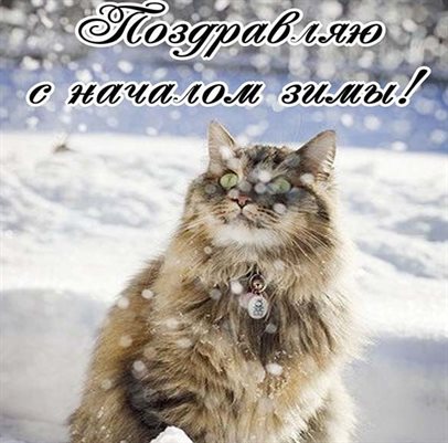 Подарок в виде открытки