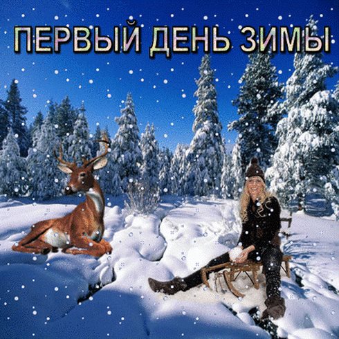 Подарите улыбку: Красивые открытки и картинки с Первым днем зимы