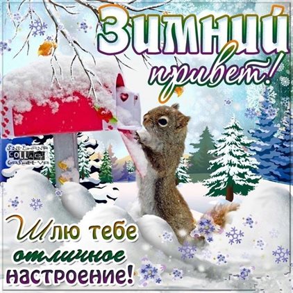 Позитивные эмоции для Красивые открытки и картинки с Первым днем зимы