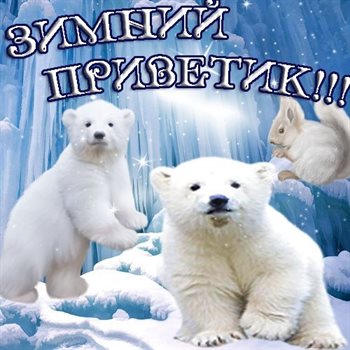 Пусть мечты сбываются