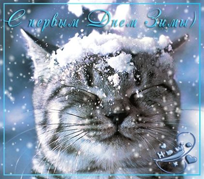 Подарок в виде открытки