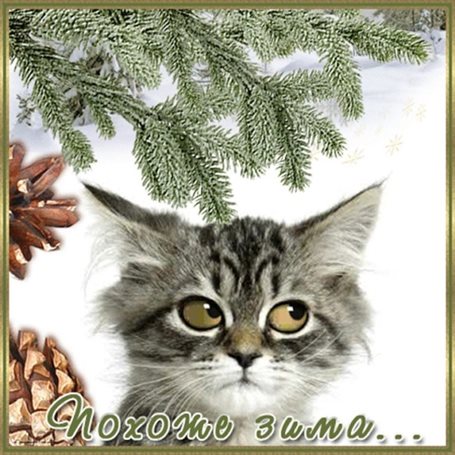 Счастья и удачи