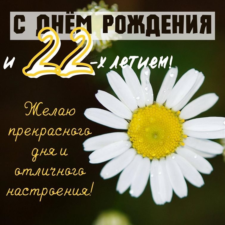 Пусть каждый день дарит счастье