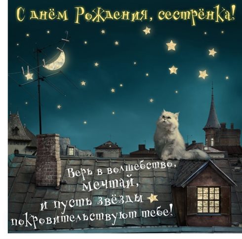 Немного тепла и заботы