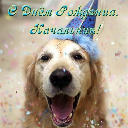 От сердца — Открытки начальнику с Днем Рождения